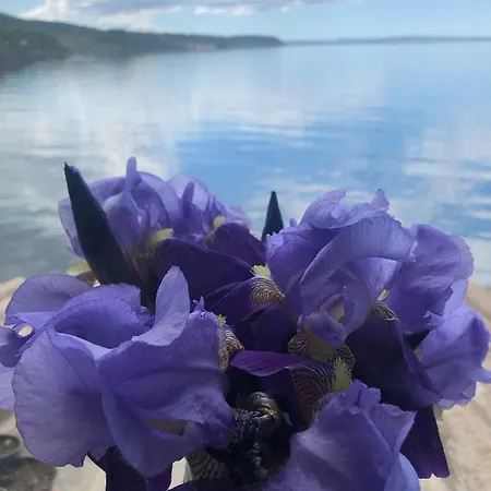 Beyaz Ev - Hisarkent Canakkale